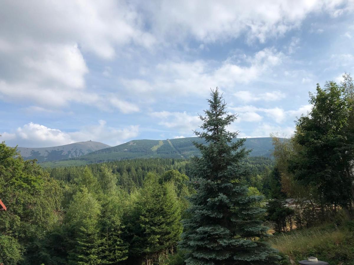Apartment Azyl - Kazdy Z Wlasna Kuchnia I Lazienka