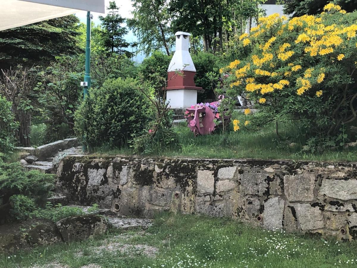 Azyl - Kazdy Z Wlasna Kuchnia I Lazienka Apartment